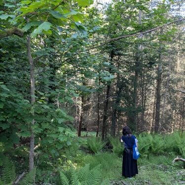 feature on Self-Titled by Stygian Hollow, providing some vocals, harmonica, flute and violin