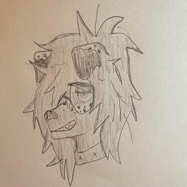 Split release with friends of Madeline Dawn Sikes in celebration of musician Pent Up Pup